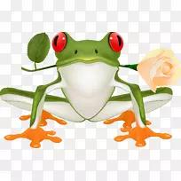 青蛙-空若网 青蛙-空若网