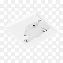 ���ϸ�ԭ-������