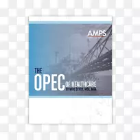 医疗保健药品高级医疗定价解决方案.产品促销传单-空若网 医疗保健药品高级医疗定价解决方案.产品促销传单-空若网