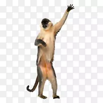 �������-������-������