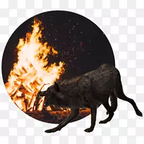 Youtubeɽ������������װ��ֽ-������