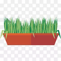 草本植物绿色载体创造绿色草甸草-空若网 草本植物绿色载体创造绿色草甸草-空若网