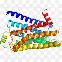 人体珠宝线有机体剪贴画线-空若网 人体珠宝线有机体剪贴画线-空若网