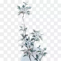 Ë®²Ê»Ç½Ö½.Ë®²Ê»»¨-¿ÕÈôÍø Ë®²Ê»Ç½Ö½.Ë®²Ê»»¨-¿ÕÈôÍø