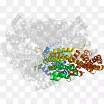 �����ֽ���Լ���������-������