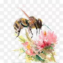 ÃÛ·äË®²Ê»£º»¨»ÜË®²Ê»-¿ÕÈôÍø ÃÛ·äË®²Ê»£º»¨»ÜË®²Ê»-¿ÕÈôÍø