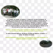 树型树-空若网 树型树-空若网