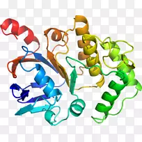 人体首饰有机体线剪贴画线-空若网 人体首饰有机体线剪贴画线-空若网