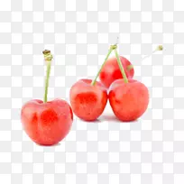 �ͰͶ�˹ӣ��ѩ׶���������β��-ӣ��-������