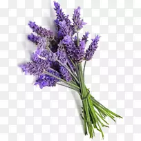 英国薰衣草法国薰衣草精油普罗旺斯-厕所-空若网 英国薰衣草法国薰衣草精油普罗旺斯-厕所-空若网