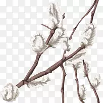 细枝植物茎开花植物绳花-空若网 细枝植物茎开花植物绳花-空若网