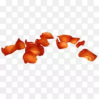 花瓣材料-创意花瓣-飘落的花瓣-空若网 花瓣材料-创意花瓣-飘落的花瓣-空若网