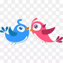 爱鸟猫头鹰-鸟类爱好者-空若网 爱鸟猫头鹰-鸟类爱好者-空若网