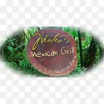 ����ѷ�ȴ����ֻ�԰ƴͼ��ѧ����-���-������