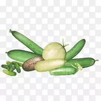 �ƹ��ݲ�Э��(Kokopelli benih cornichun-Cucumis sativus)-������
