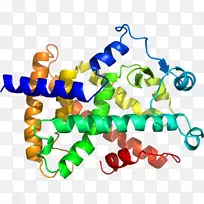 人体首饰有机体线剪贴画线-空若网 人体首饰有机体线剪贴画线-空若网