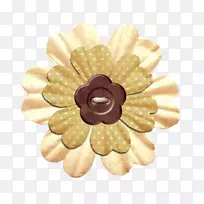 博客信封学习-棒棒糖-空若网 博客信封学习-棒棒糖-空若网