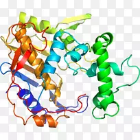 线点生物剪贴画线-空若网 线点生物剪贴画线-空若网