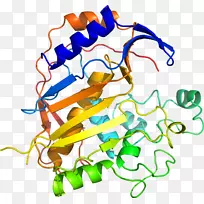 有机体线人类行为点剪贴画线-空若网 有机体线人类行为点剪贴画线-空若网