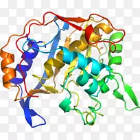 �ߵ������������-������