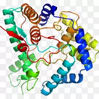 人体首饰有机体线剪贴画线-空若网 人体首饰有机体线剪贴画线-空若网