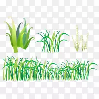 草本植物剪贴画手绘草-空若网 草本植物剪贴画手绘草-空若网
