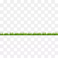 草坪能源墙纸.绿草装饰边框-空若网 草坪能源墙纸.绿草装饰边框-空若网