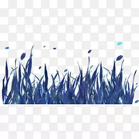 ���ؼ�����-����ҡҷ�Ĳ�-������