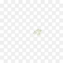 草桌面壁纸叶植物茎近叶-空若网 草桌面壁纸叶植物茎近叶-空若网