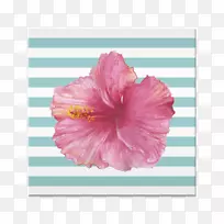 t恤艺术纸巾芙蓉茶艺博客或工作室-空若网 t恤艺术纸巾芙蓉茶艺博客或工作室-空若网