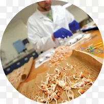 烹饪配料配方遗传学技术-空若网 烹饪配料配方遗传学技术-空若网