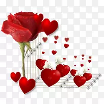 更多的友谊夜爱-人-空若网 更多的友谊夜爱-人-空若网