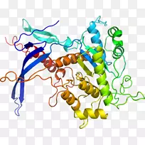 人体首饰有机体线剪贴画线-空若网 人体首饰有机体线剪贴画线-空若网