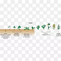 Ö½Ê÷Ïß²Ý-¿ÕÈôÍø Ö½Ê÷Ïß²Ý-¿ÕÈôÍø