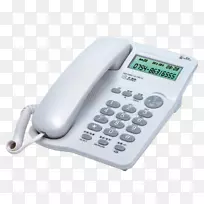 �绰����googleͼ����ż�ͥ�绰-������