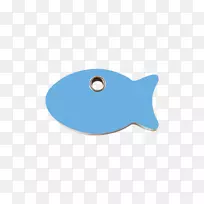 鱼类海洋-鱼类-空若网 鱼类海洋-鱼类-空若网