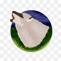 ��-��-������