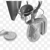 白色设计-空若网 白色设计-空若网