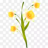 水仙花切花花卉设计植物茎-空若网 水仙花切花花卉设计植物茎-空若网