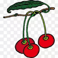 纸酸樱桃水果画手绘小樱桃-空若网 纸酸樱桃水果画手绘小樱桃-空若网