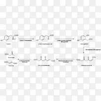 酪氨酸柠檬酸循环甲状腺素生成氨基酸3-O-甲基多巴降解-空若网 酪氨酸柠檬酸循环甲状腺素生成氨基酸3-O-甲基多巴降解-空若网