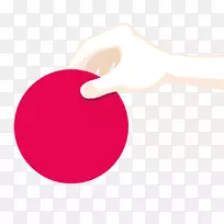 ��ָ���������-������