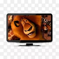 液晶电视显示装置平板显示电子产品马达加斯加马蒂-空若网 液晶电视显示装置平板显示电子产品马达加斯加马蒂-空若网