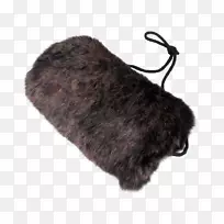 毛皮狗科狗-空若网 毛皮狗科狗-空若网