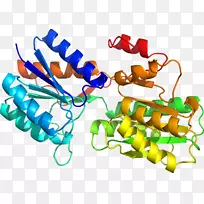 人体珠宝线有机体剪贴画线-空若网 人体珠宝线有机体剪贴画线-空若网