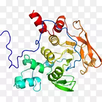 线点生物剪贴画线-空若网 线点生物剪贴画线-空若网