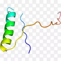 �ߵ������-��-������