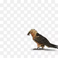 ����ͺӥ���-������