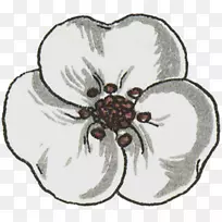 昆虫传粉器花瓣餐具昆虫-空若网 昆虫传粉器花瓣餐具昆虫-空若网