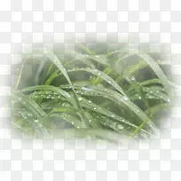 Ë®·ÝÌùºÏ-¾Õ¿Æ-¿ÕÈôÍø Ë®·ÝÌùºÏ-¾Õ¿Æ-¿ÕÈôÍø